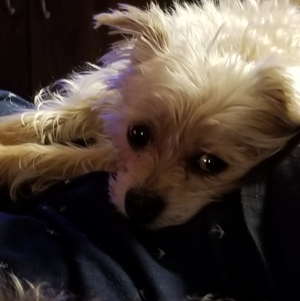 Meet your Posher, Sheila